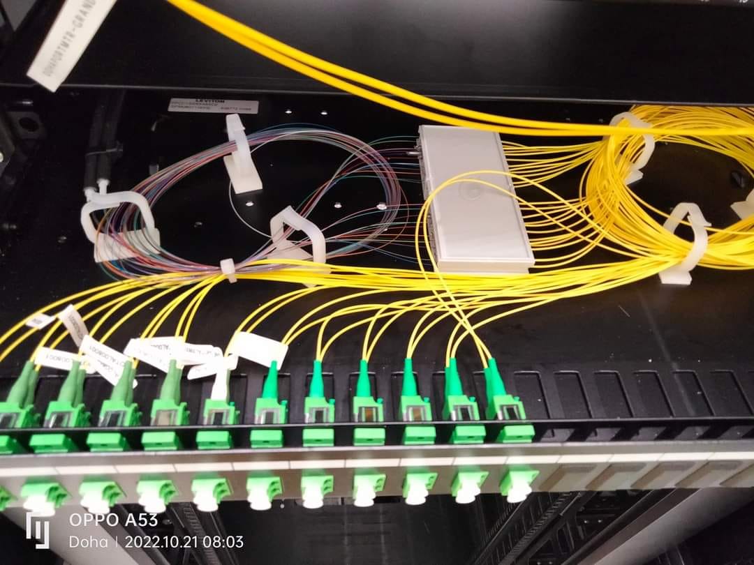 Network Innovation